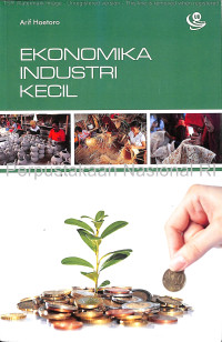 Ekonomika industri kecil /